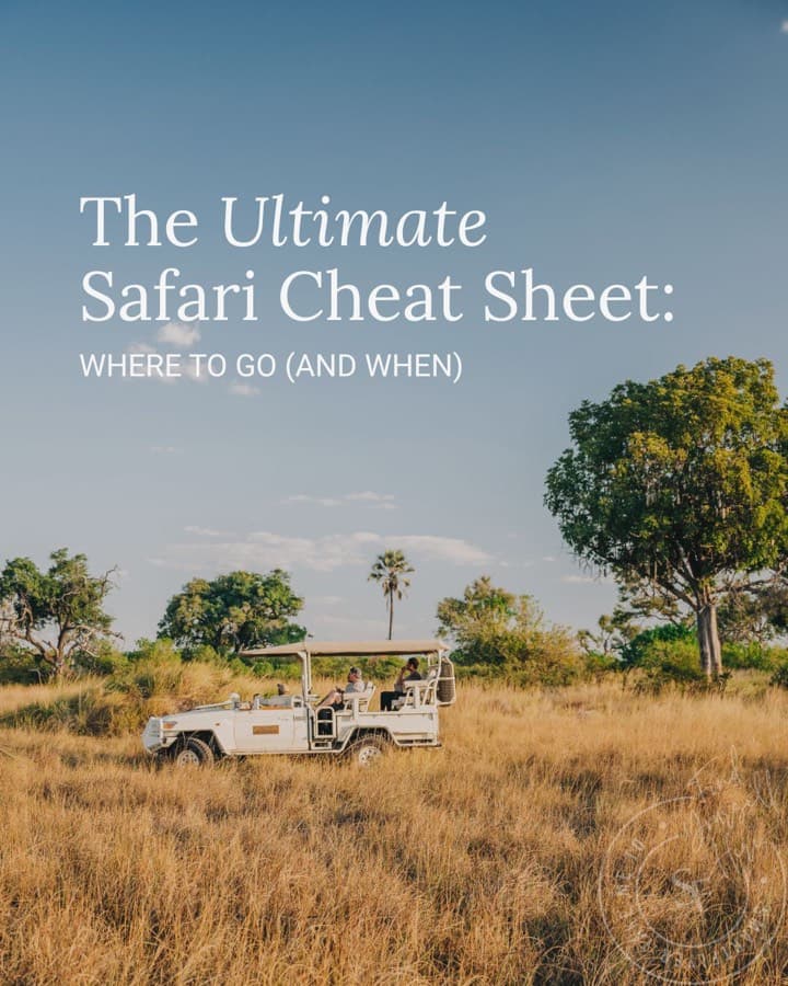 The ultimate safari cheat sheet: where to go (and when), a safari vehicle on the plains