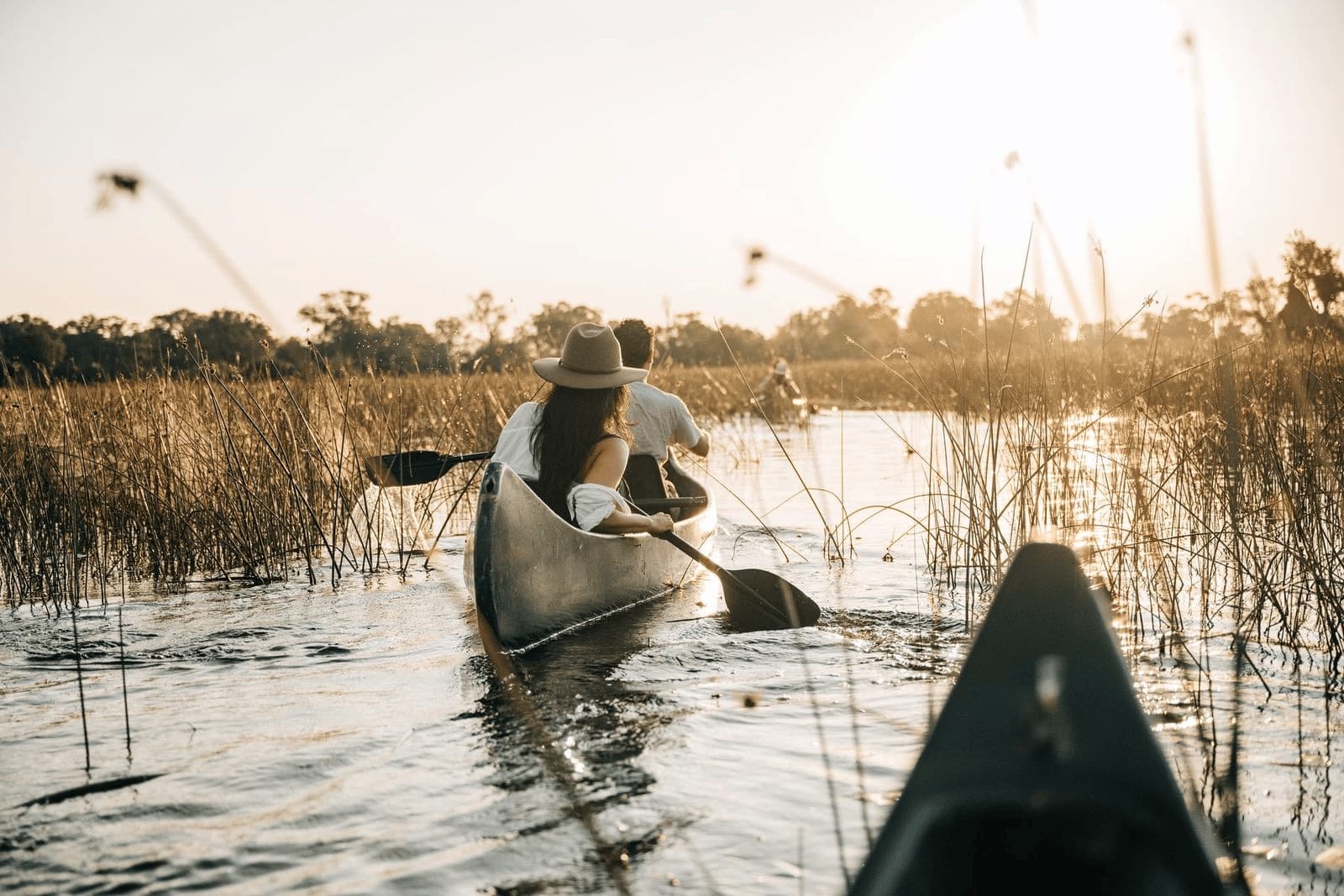 Travelers paddling a canoe through the reeds at sunset